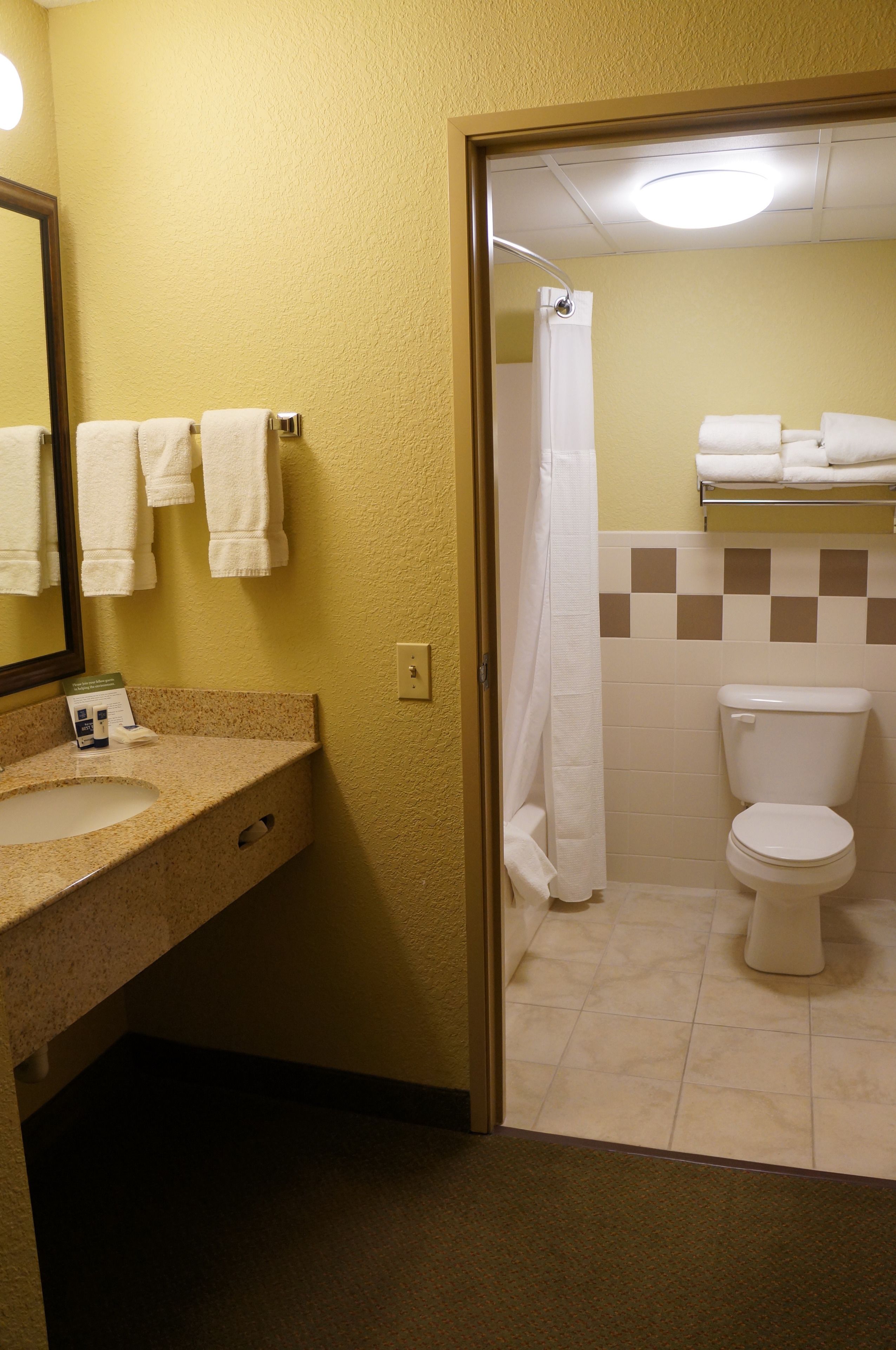 A bathroom with a sink, mirror, and toilet.