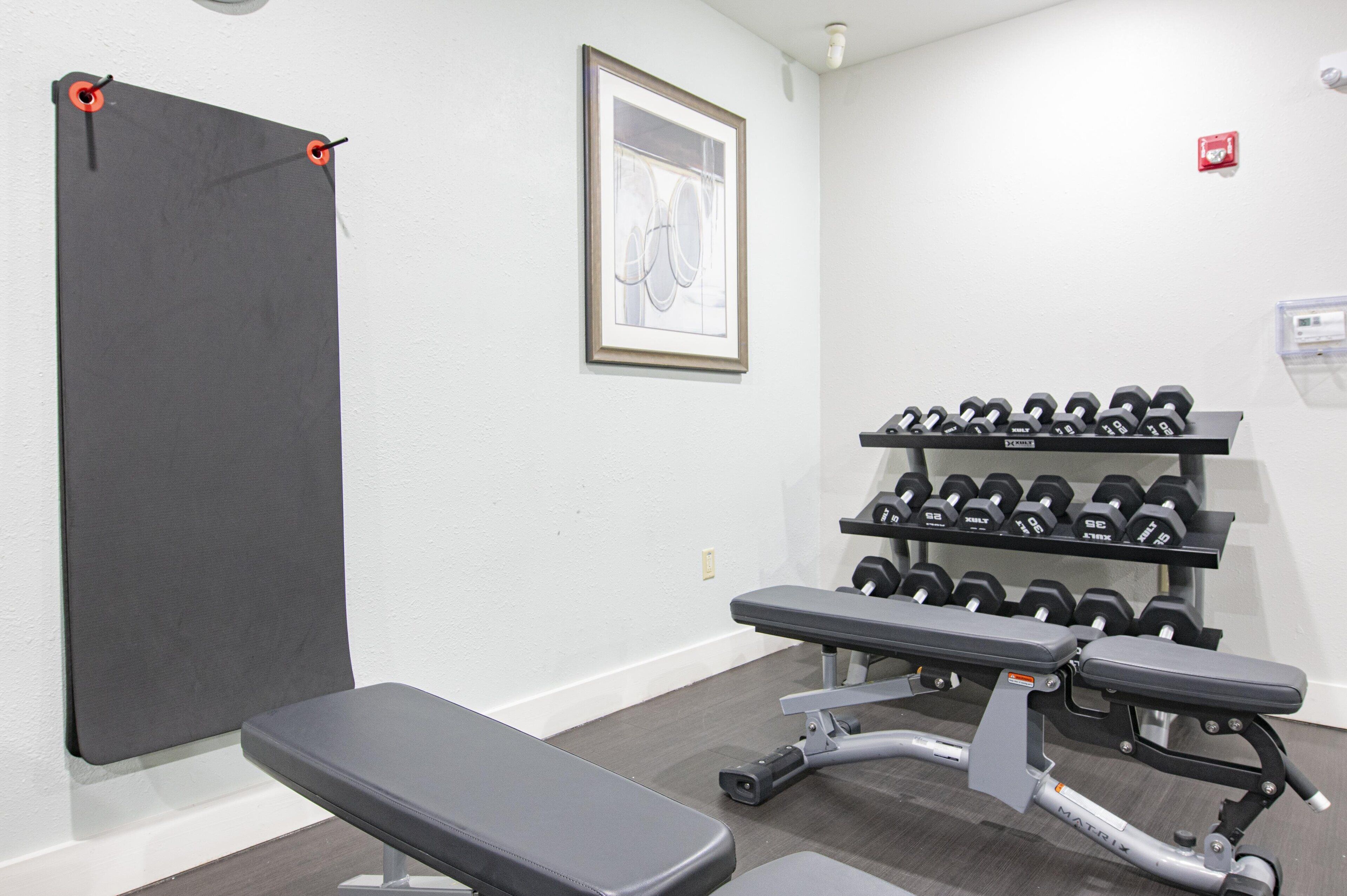 A gym with a bench, dumbbells, and a framed picture on the wall.