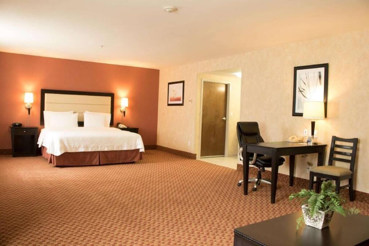Una habitación de hotel con cama, escritorio, silla y una pequeña mesa con una planta.