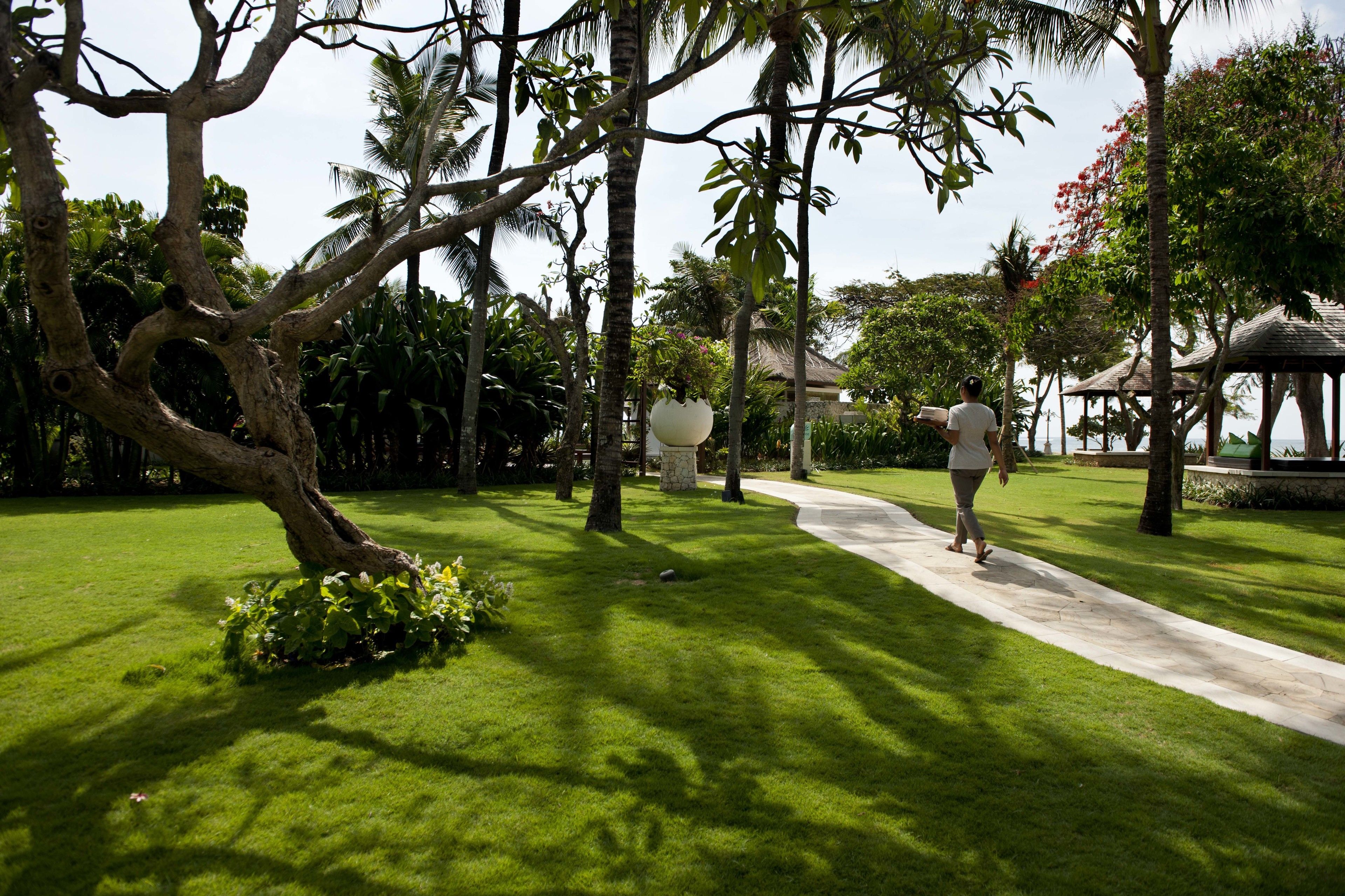A pathway through a lush garden with palm trees and a gazebo.
