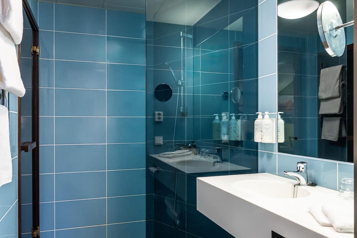 free toiletries, hair dryer, bidet, towels