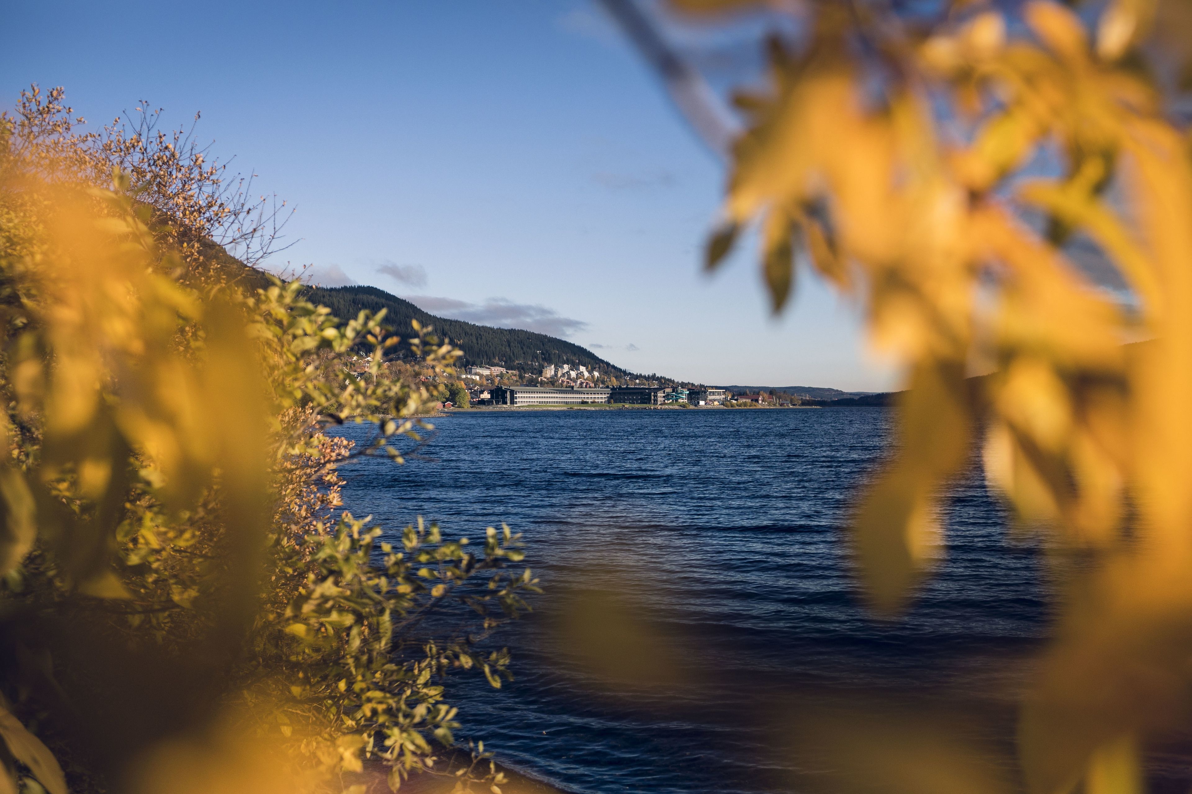 A coastal landscape with a view of a bridge and buildings across the water.