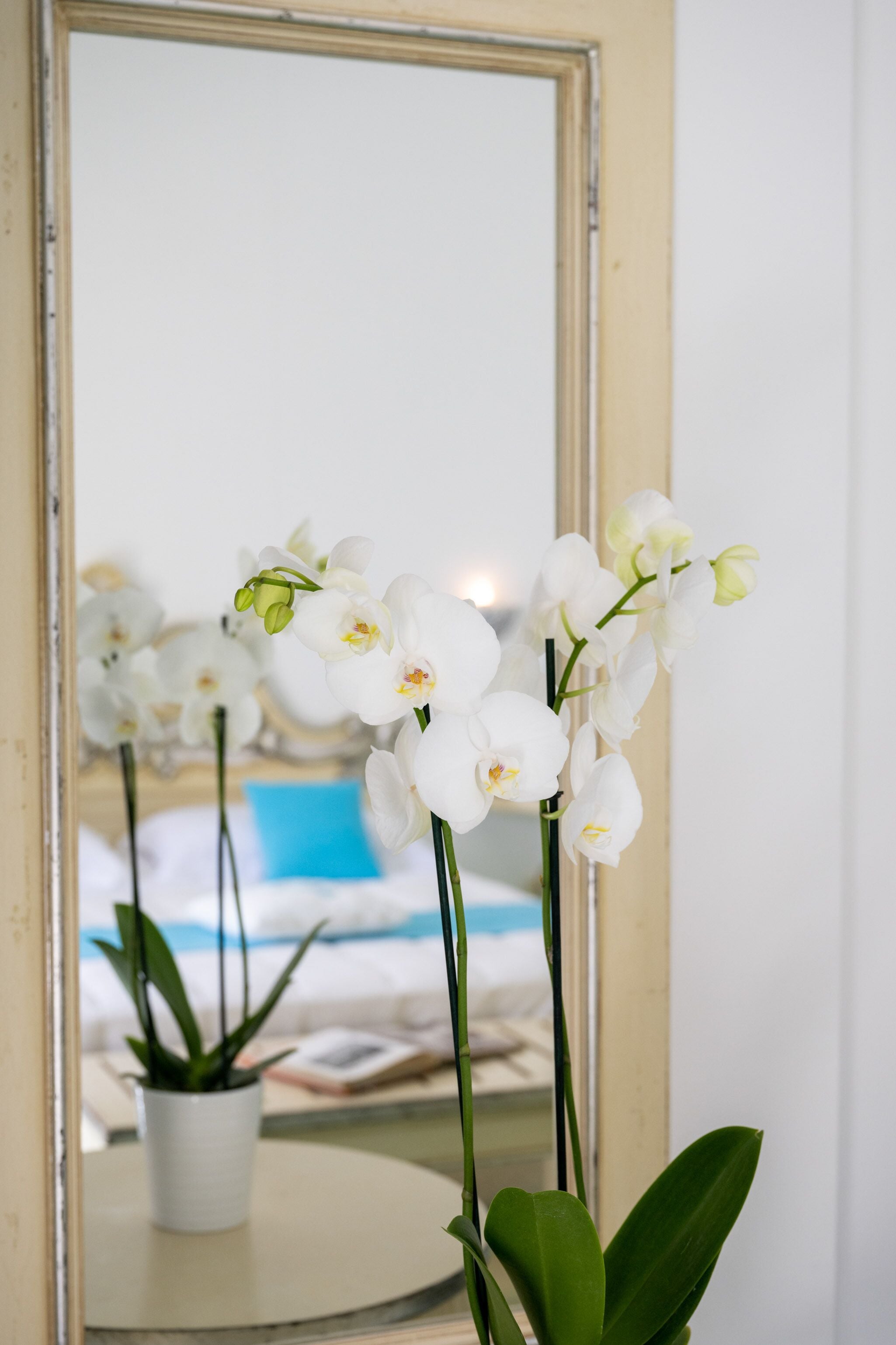 executive double room | 1 bedroom, premium bedding, down duvets, pillow-top beds