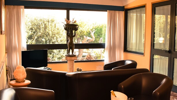 A living room with leather sofas, a glass coffee table, a chandelier, and a view of trees through large windows. - Hotel Miravalle (Naples)