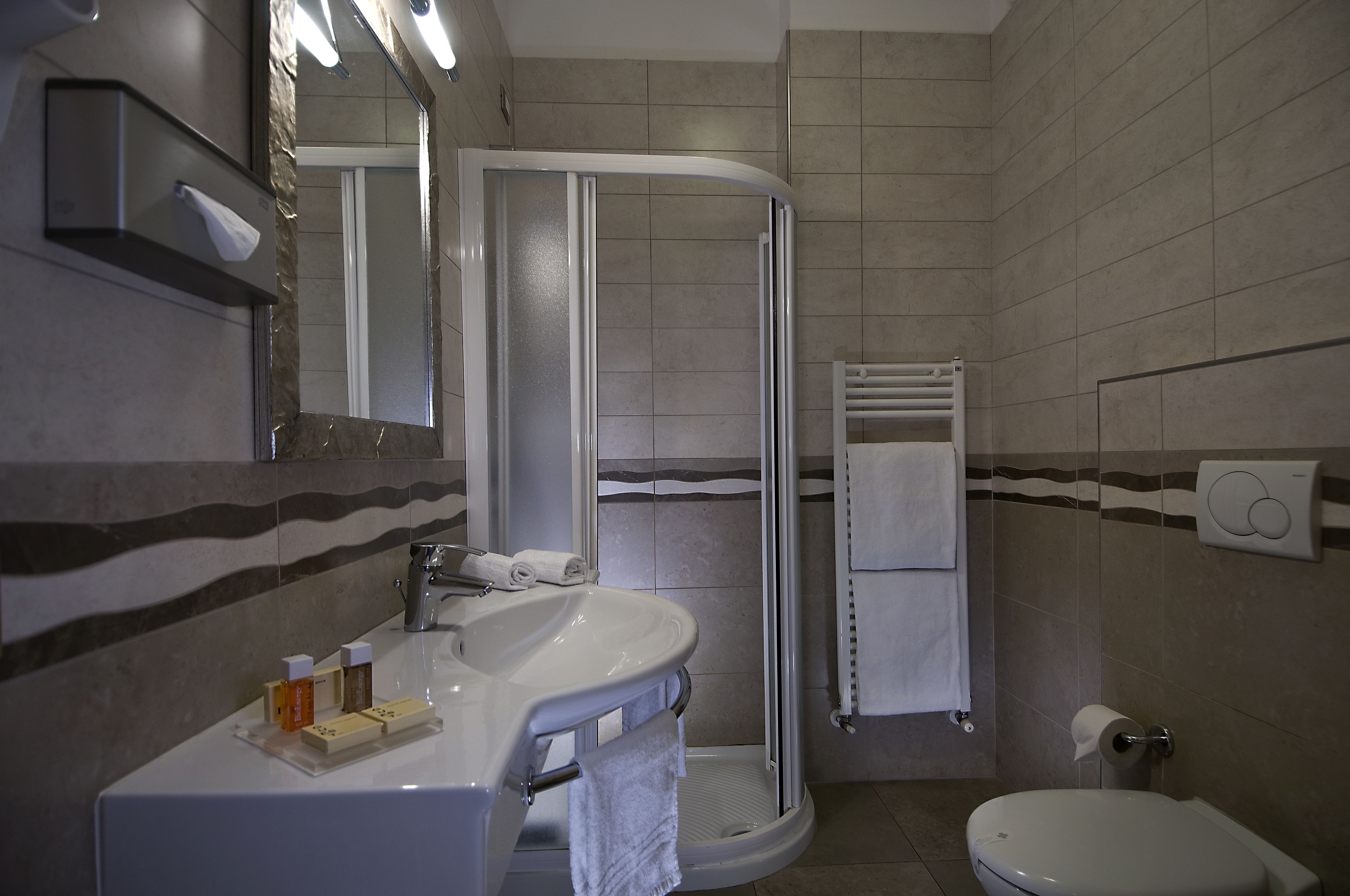 shower, free toiletries, hair dryer, towels