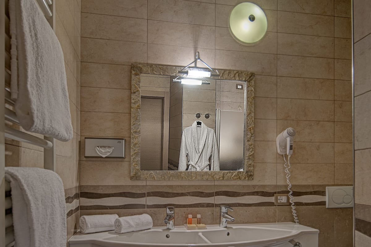 shower, free toiletries, hair dryer, towels