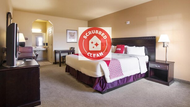 Une chambre d’hôtel avec un lit, une table de chevet, une lampe et un téléviseur posé sur une commode.