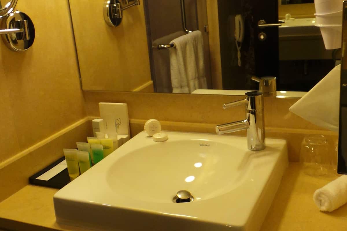 deluxe suite | bathroom | shower, free toiletries, hair dryer, dressing gowns