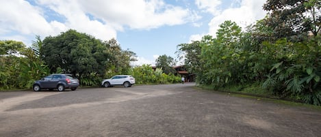 A paved driveway leading to a building surrounded by dense greenery.