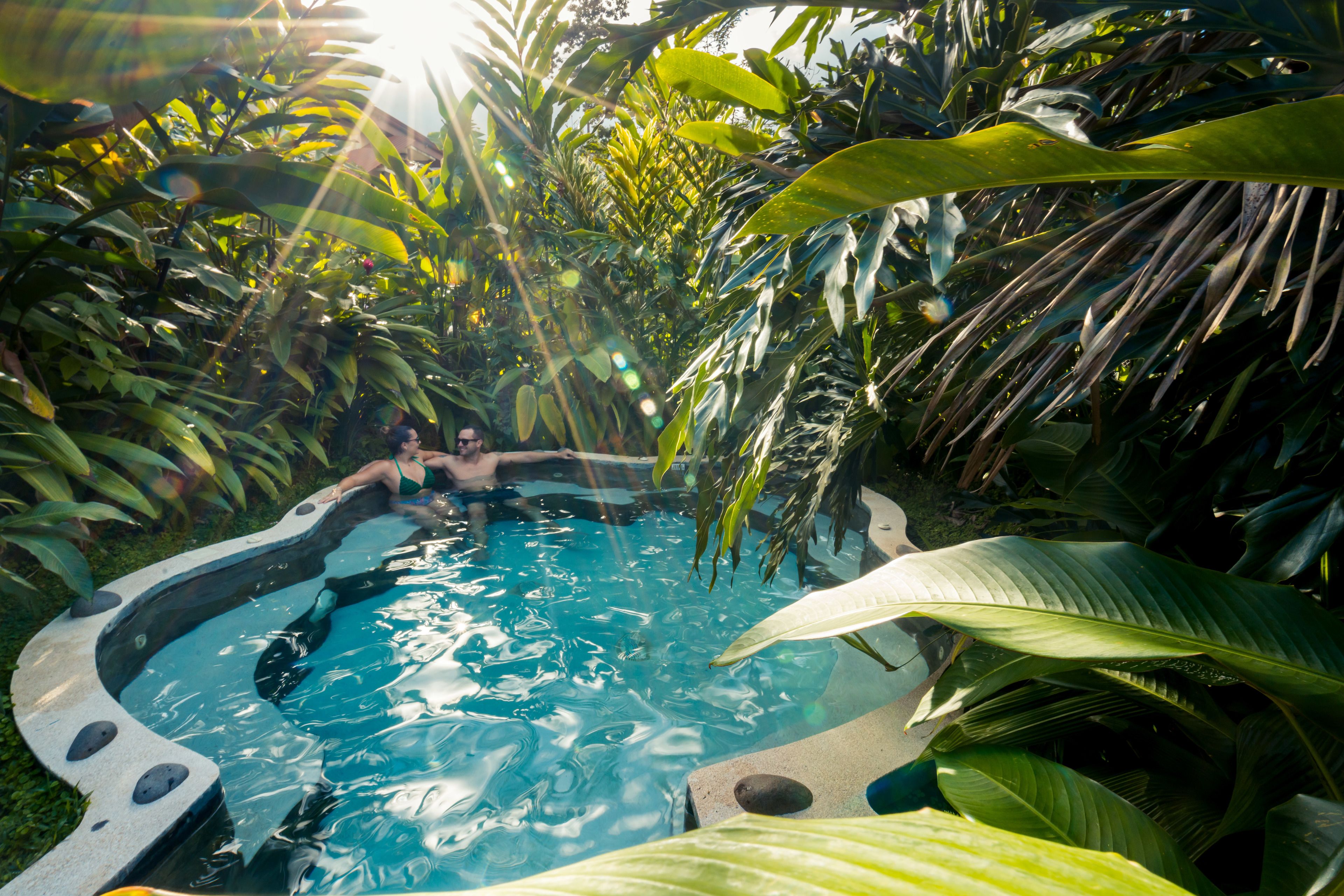 A hot tub surrounded by lush tropical foliage.