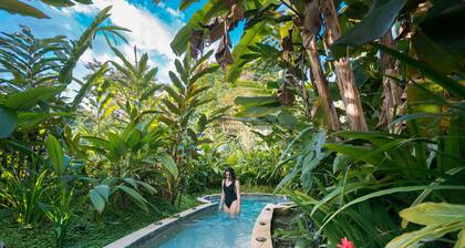 Casa Luna Hotel & Spa