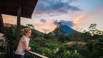 Premium bedding, minibar, in-room safe, soundproofing