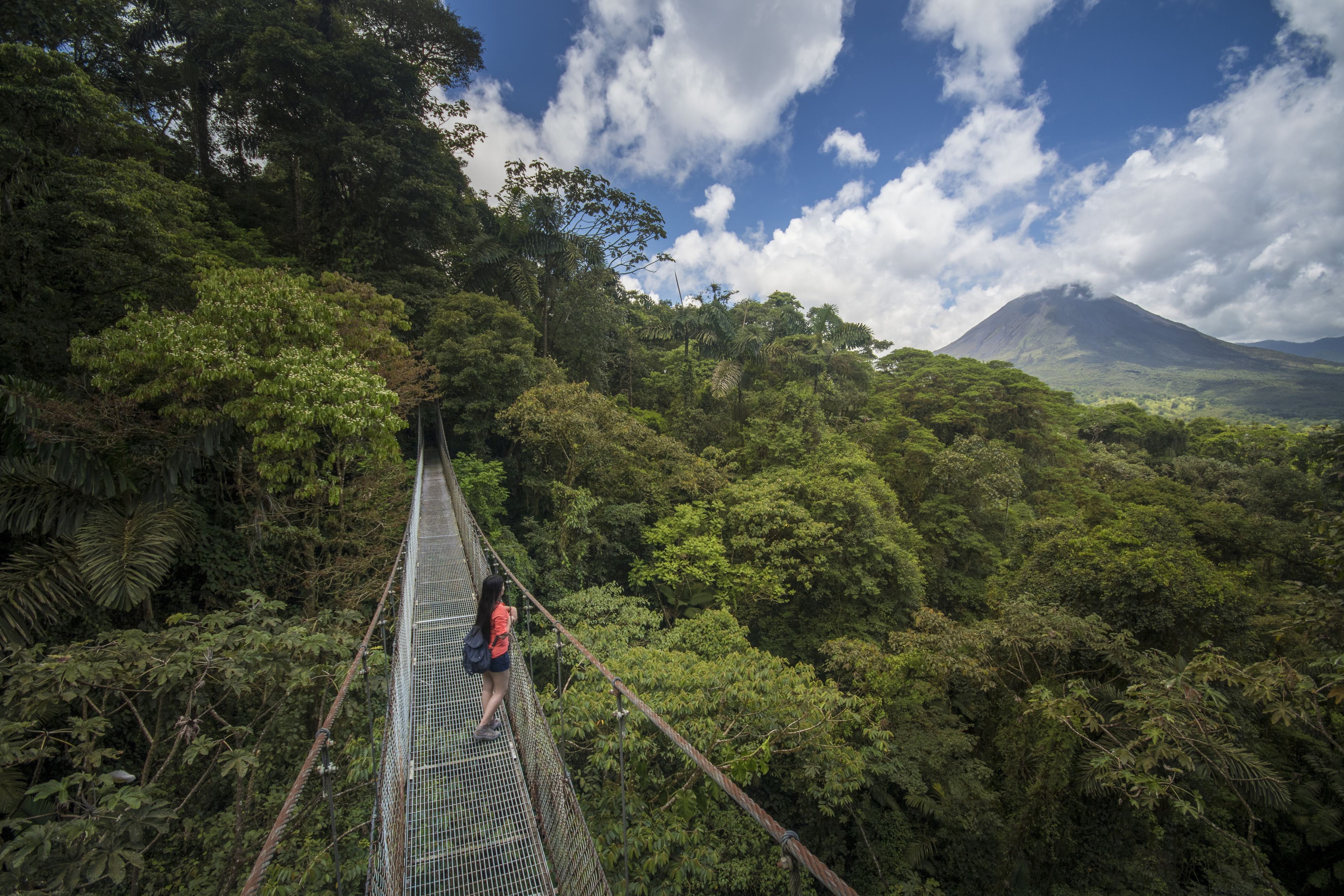 Eine Person geht über eine Hängebrücke in einem dichten Wald, im Hintergrund ist ein Berg zu sehen.