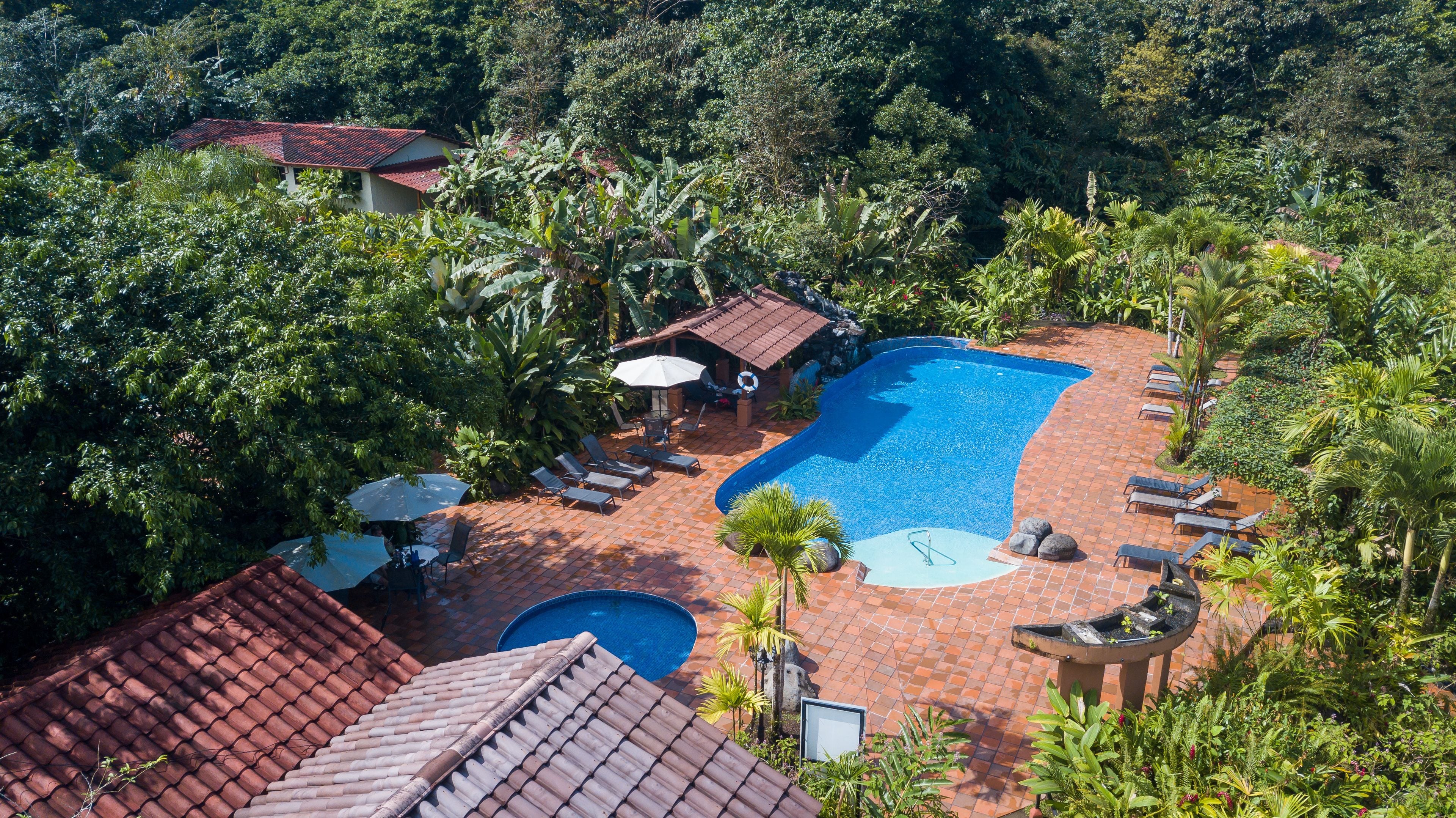 A rooftop pool area with a blue pool, lounge chairs, and a small covered seating area surrounded by lush greenery.