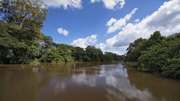 A river surrounded by dense green foliage under a partly cloudy sky.