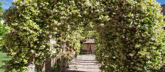 빌라 보리 테르메