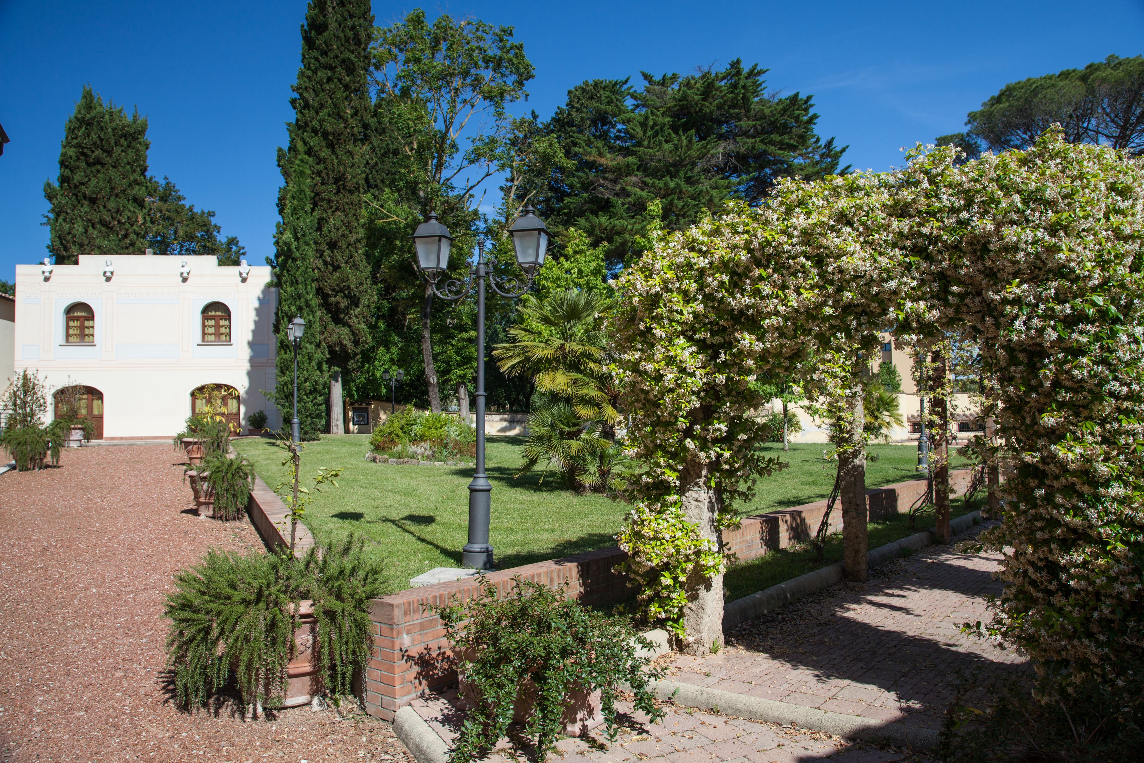 A courtyard with a white building, a paved walkway, and various trees and shrubs.