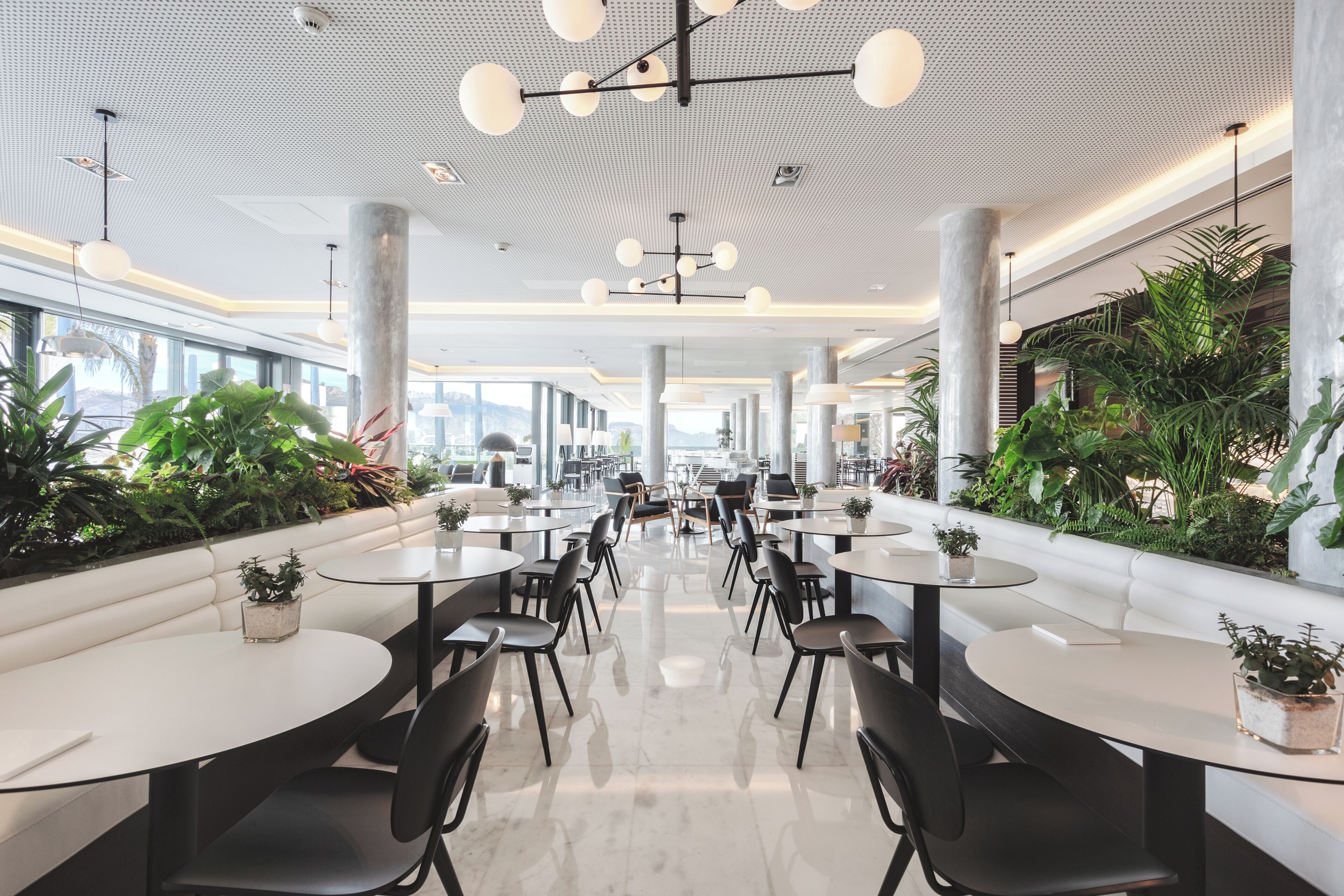 Un espace intérieur moderne avec des tables rondes et des chaises noires, de grandes fenêtres et des plantes d’intérieur.