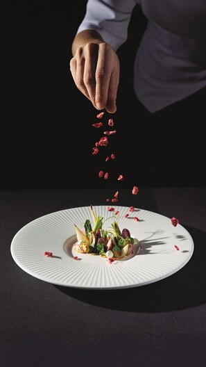 Food and drink - SHA Spain (L'Alfas del Pi)