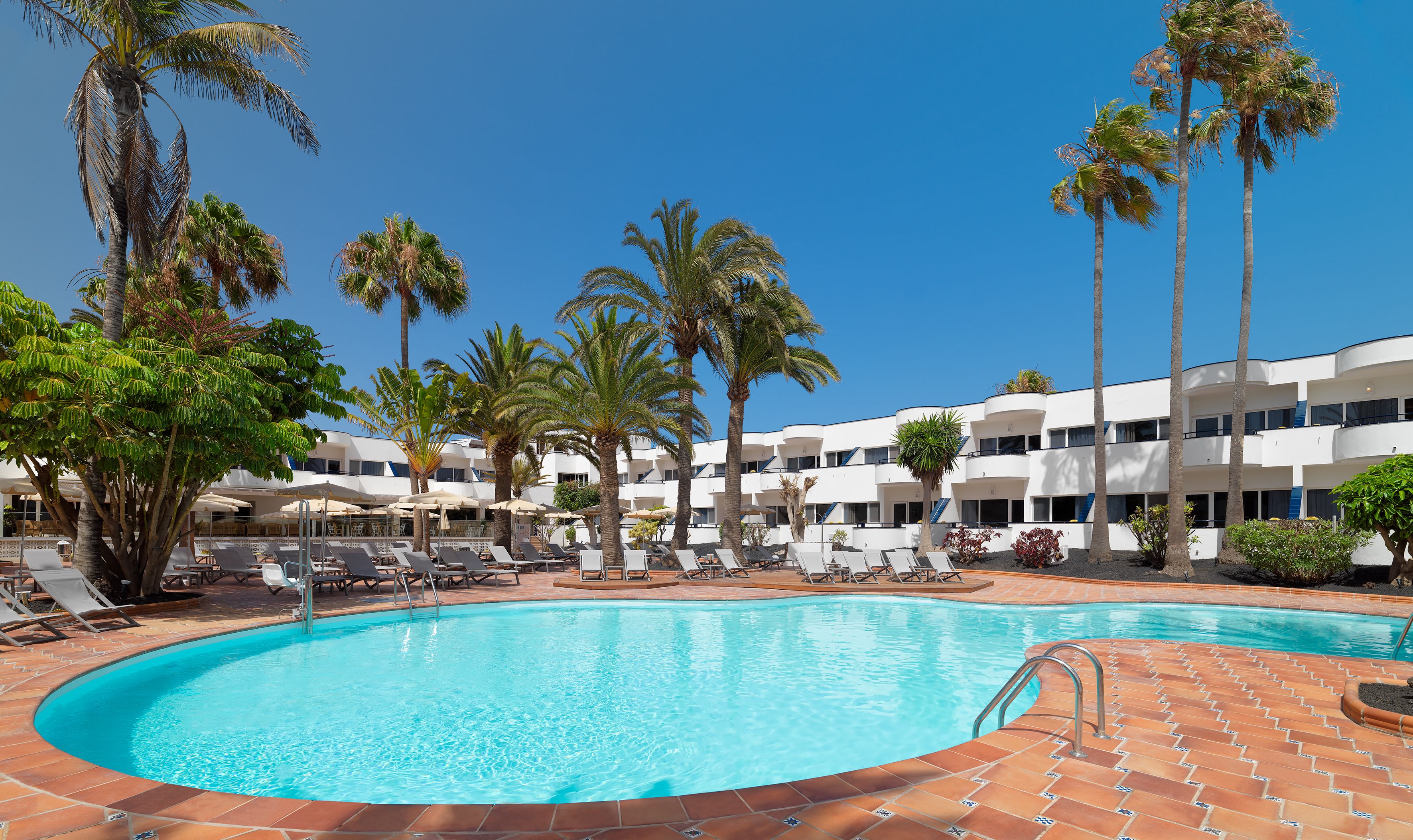 A hotel with a swimming pool surrounded by palm trees and lounge chairs.