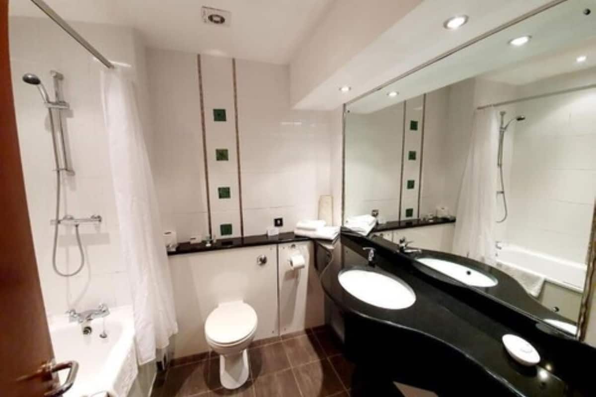 combined shower/bathtub, free toiletries, hair dryer, towels