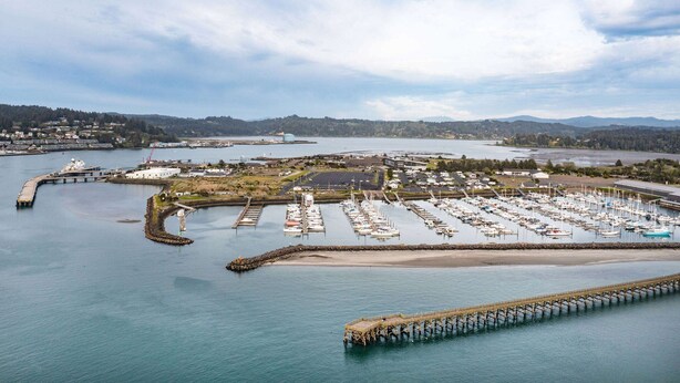 A marina with boats docked, a pier, and a small island with buildings.