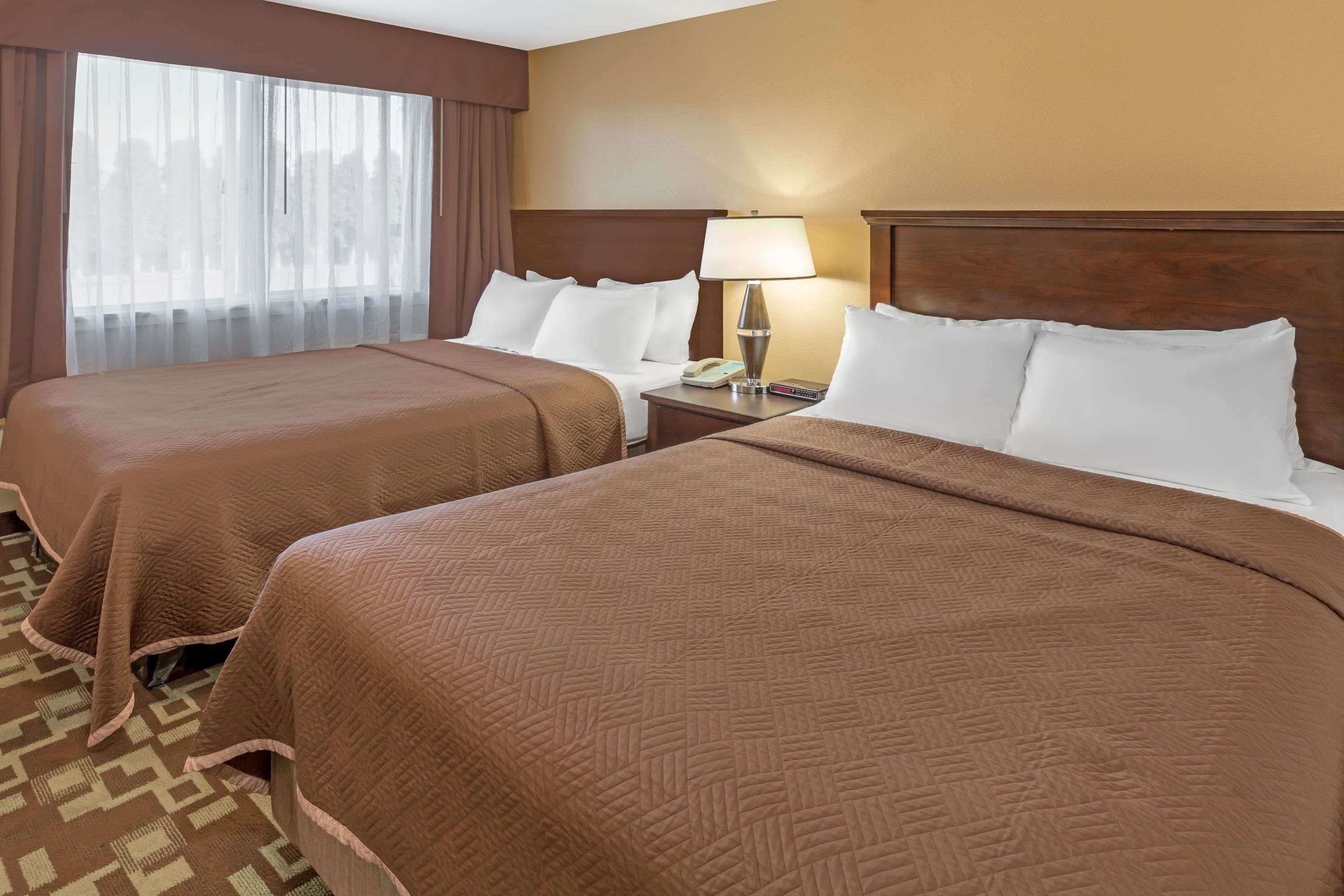 Literie de qualité supérieure, couette en duvet d'oie, bureau