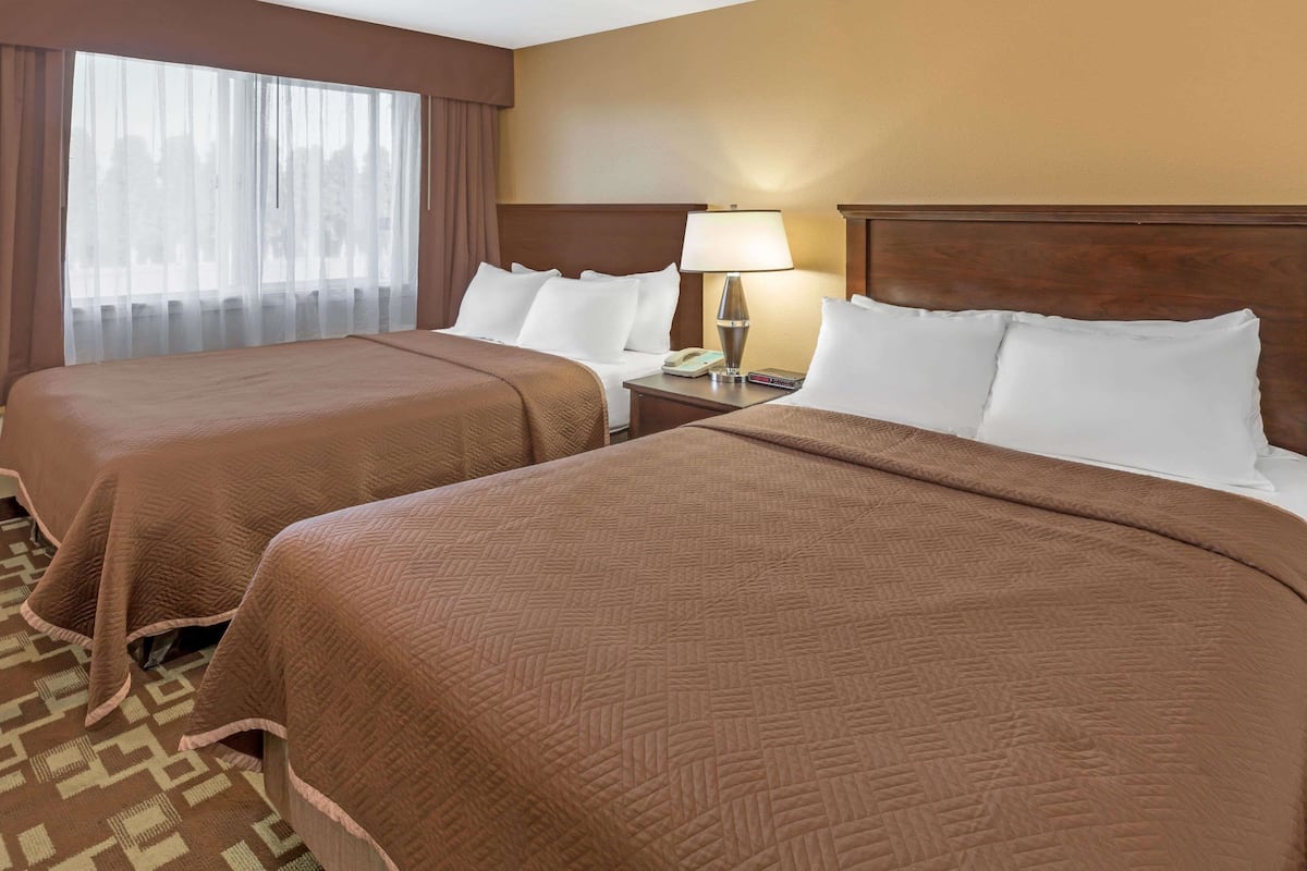 Une chambre d’hôtel avec deux lits, une table de chevet avec une lampe et une fenêtre avec des rideaux légers.
