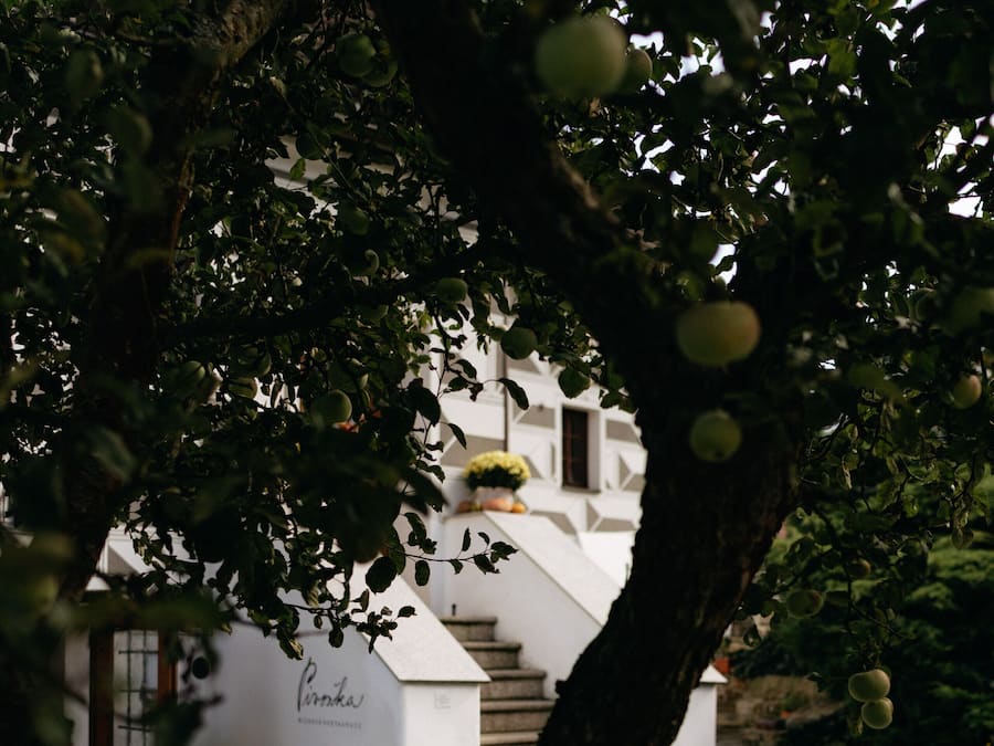 Jardim