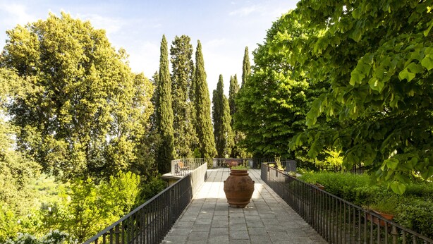 A pathway lined with trees and a large pot in the center. - Villa Montarioso (Monteriggioni)
