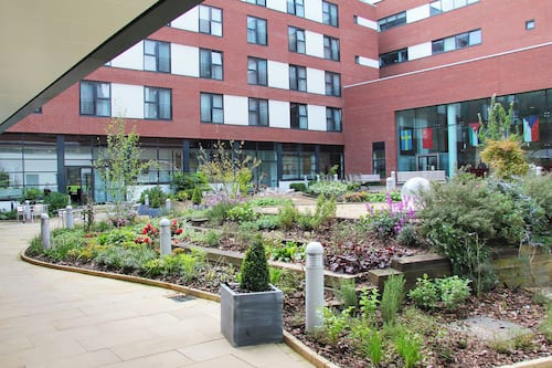 Garden view