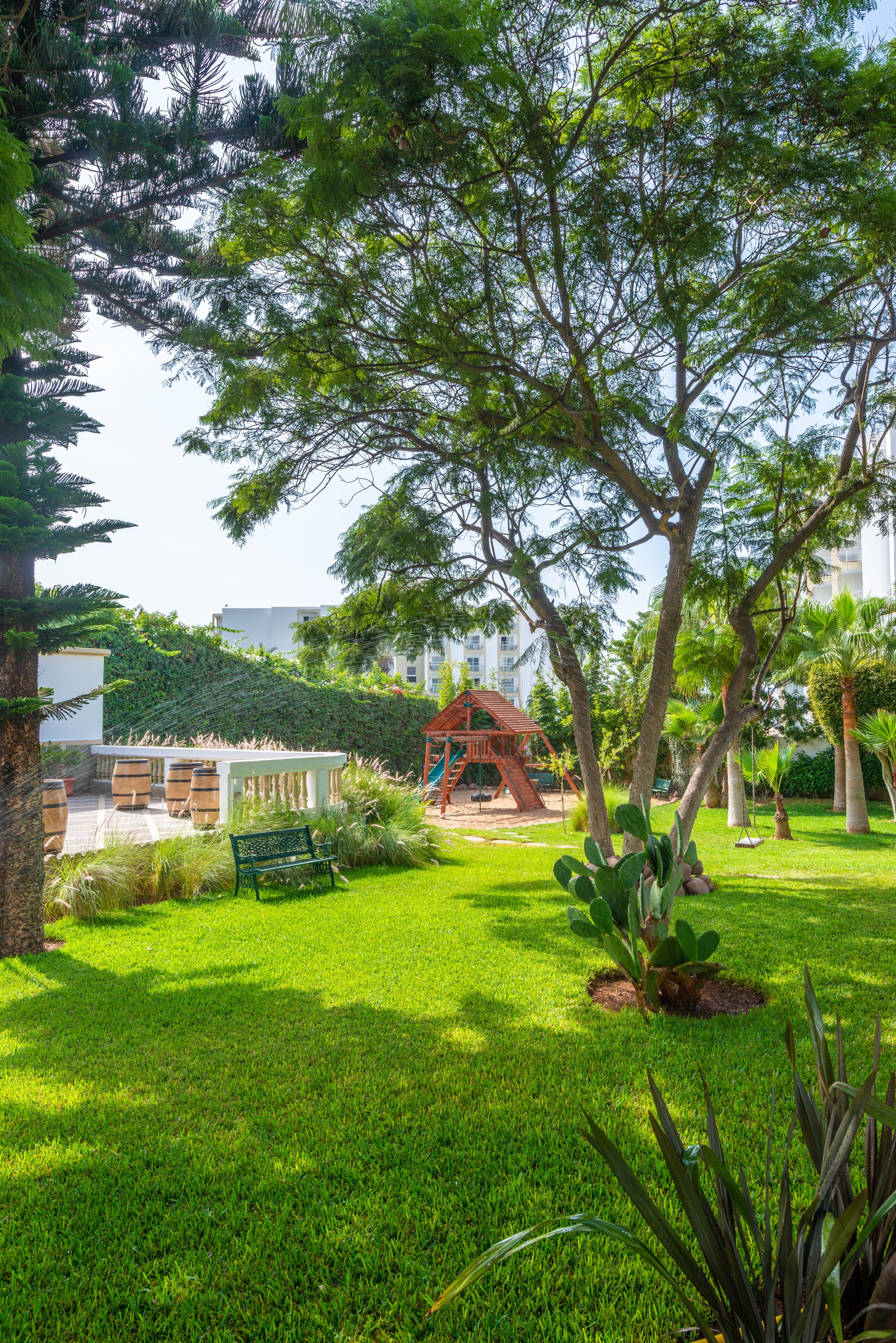Garden