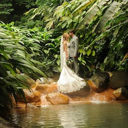 Outdoor wedding area