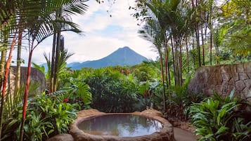 Honeymoon Vista Guest Room | Biancheria in cotone egiziano, biancheria da letto di alta qualità