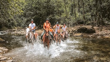 Four people riding horses through a shallow stream surrounded by dense forest.