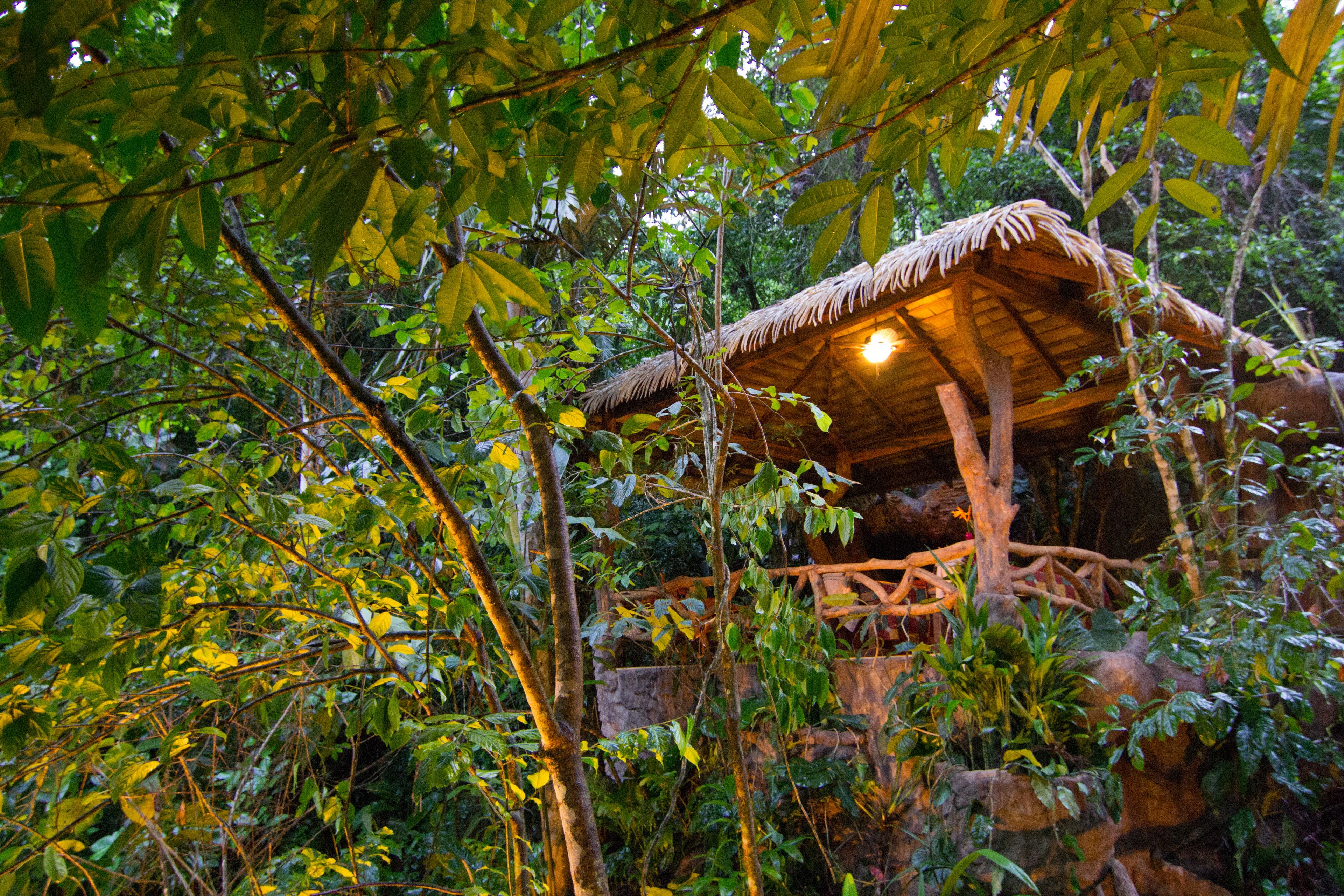 couples treatment room(s), sauna, steam room