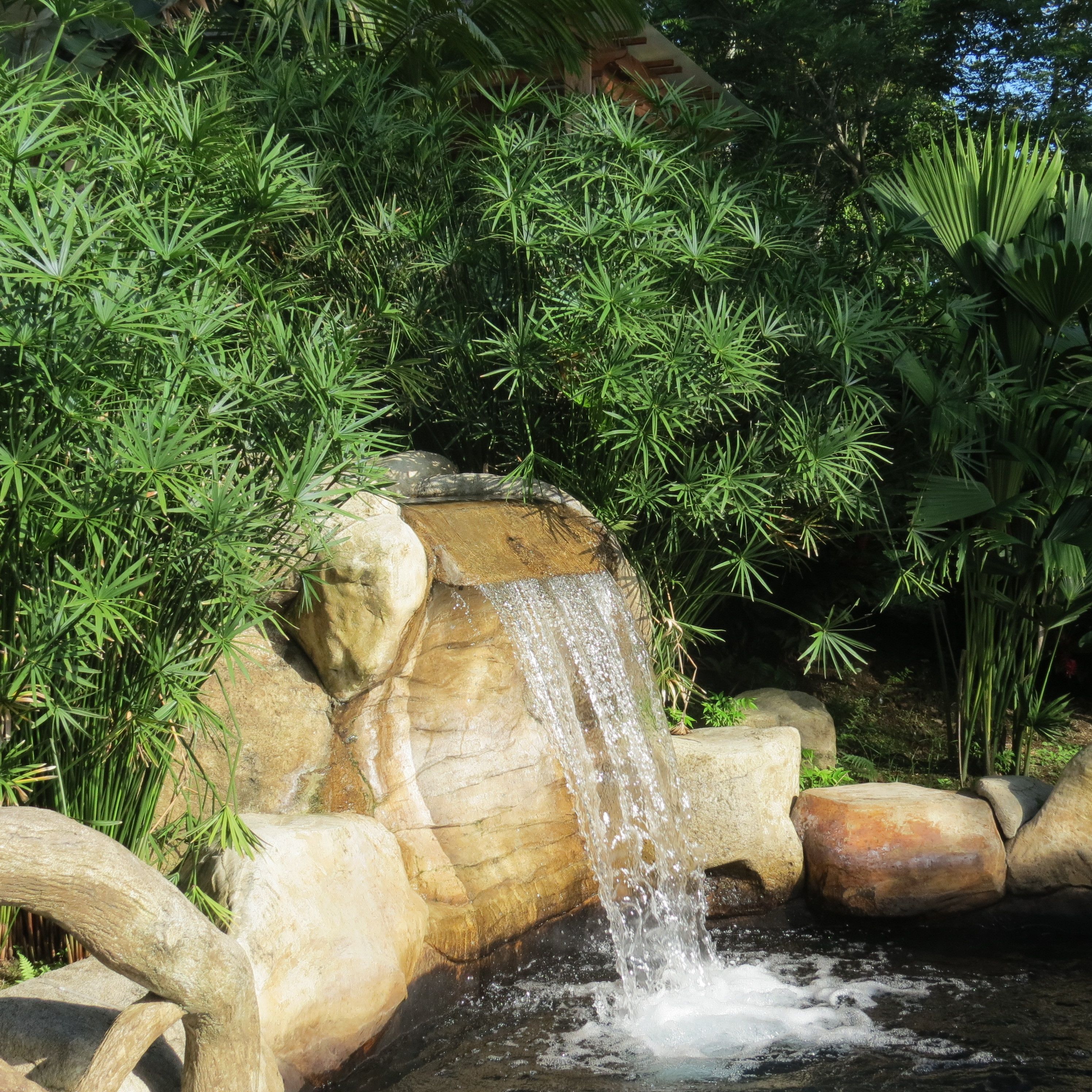 A waterfall cascading over rocks surrounded by lush greenery.