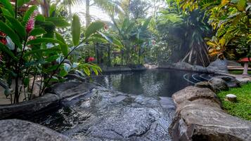 Un jardín interior tranquilo con un pequeño elemento acuático rodeado de rocas y exuberantes plantas tropicales.