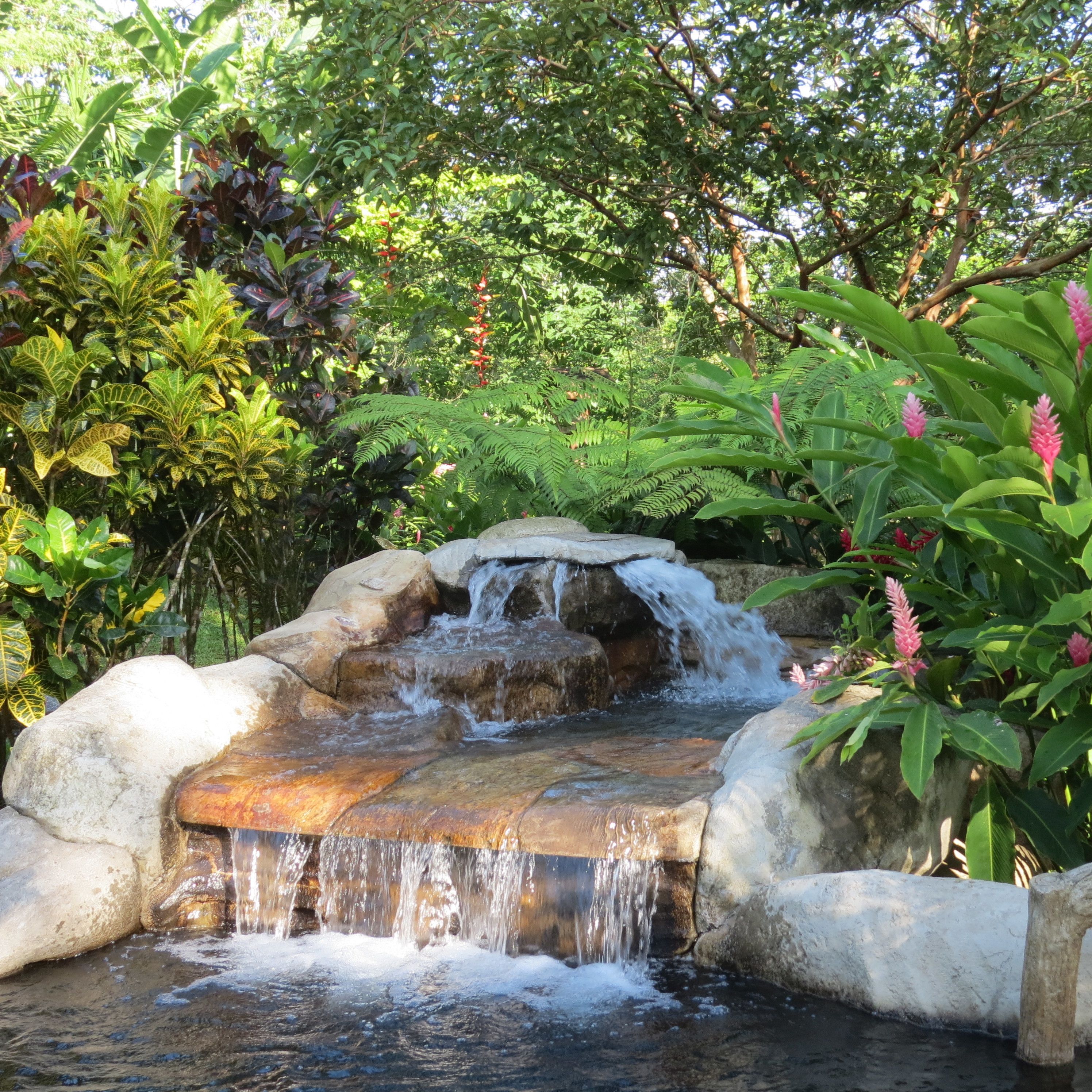 A small waterfall in a garden with various plants and rocks.