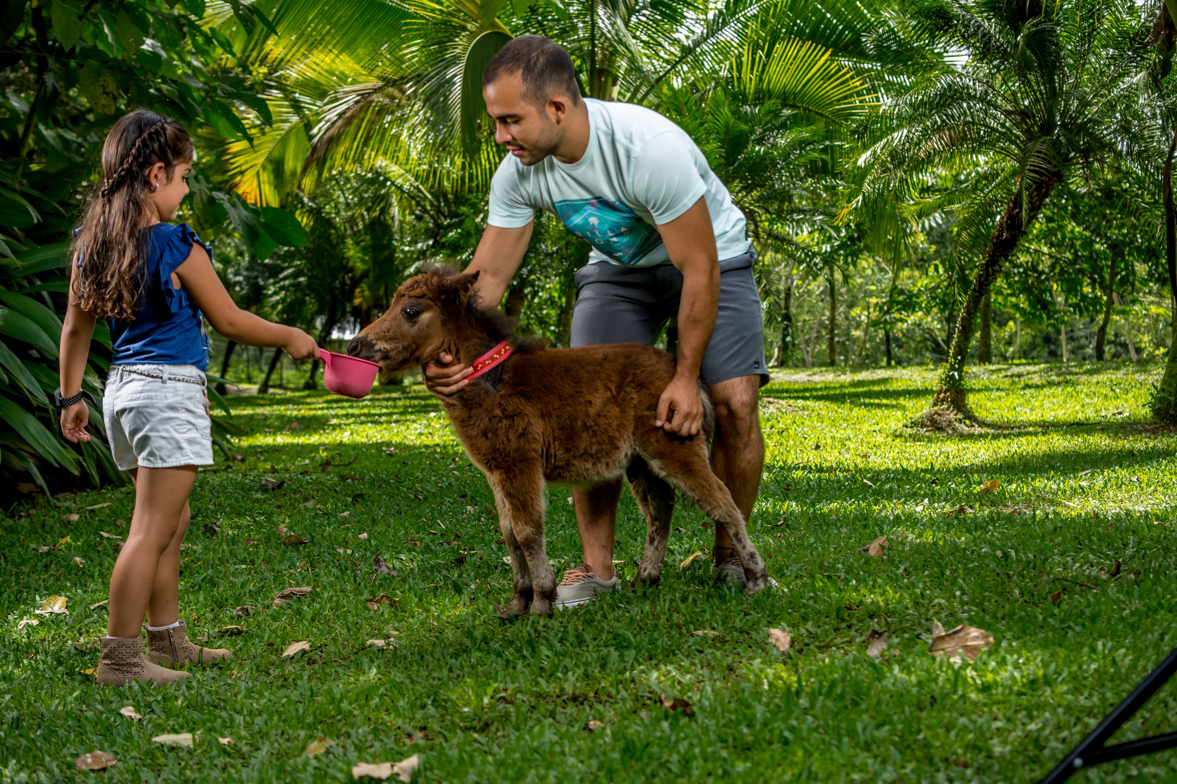A person petting a dog in a grassy area with trees in the background.