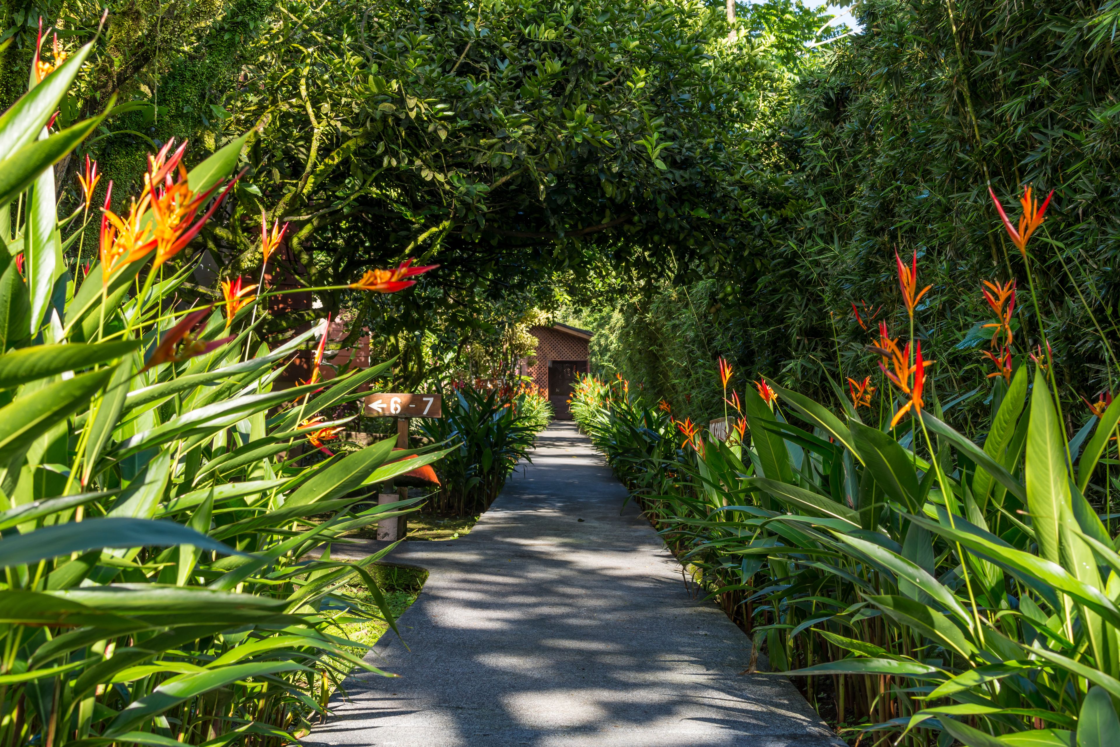 Un sentier bordé d’une végétation luxuriante et de fleurs aux couleurs vives, qui mène à un bâtiment doté d’un toit en pente.