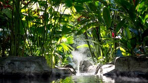 Een natuurlijke waterpartij omringd door weelderig groen.