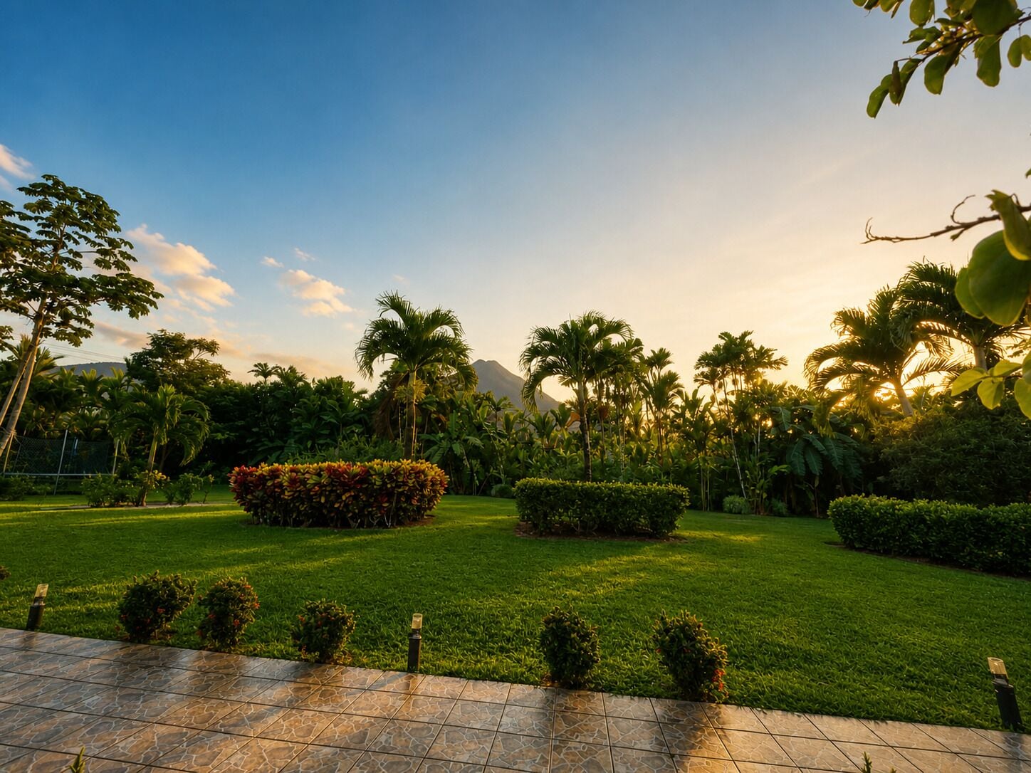 Un jardín paisajístico con céspedes cuidados, diversas plantas tropicales y un cielo despejado.