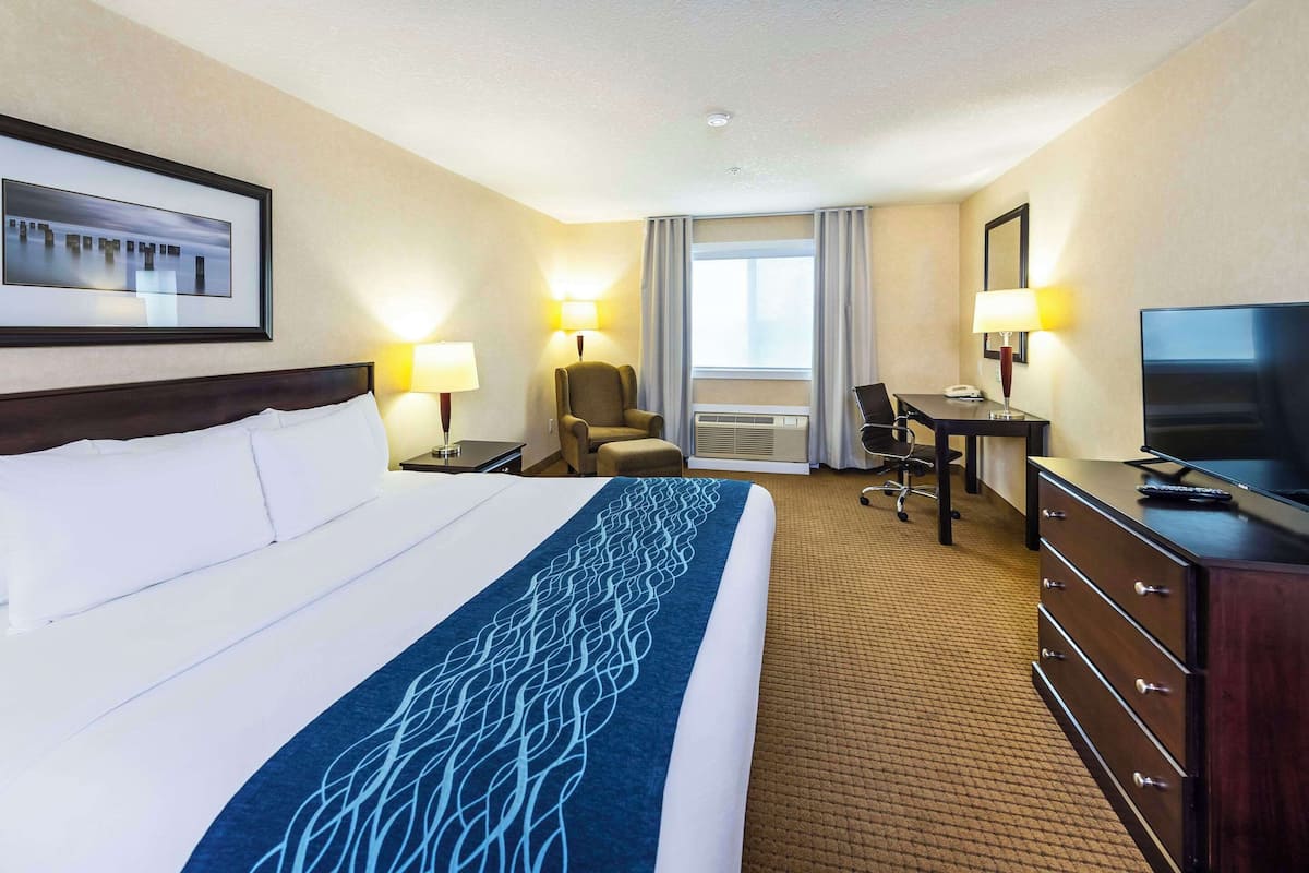 Standard Room, 1 King Bed, Non Smoking