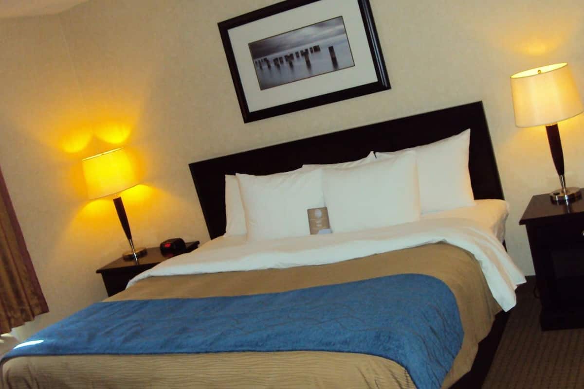 Iron/ironing board, free cribs/infant beds, rollaway beds, WiFi