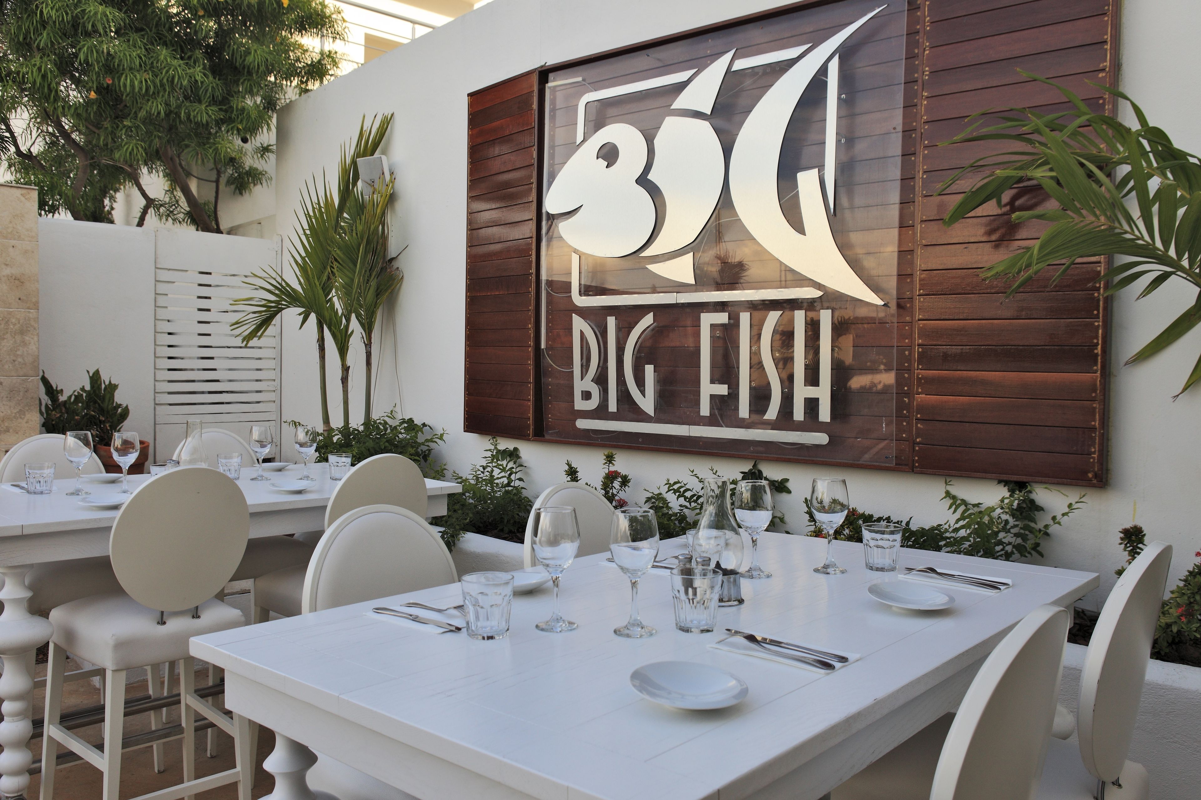 An outdoor dining area with white tables and chairs, a large sign reading "BIG FISH", and potted plants around.