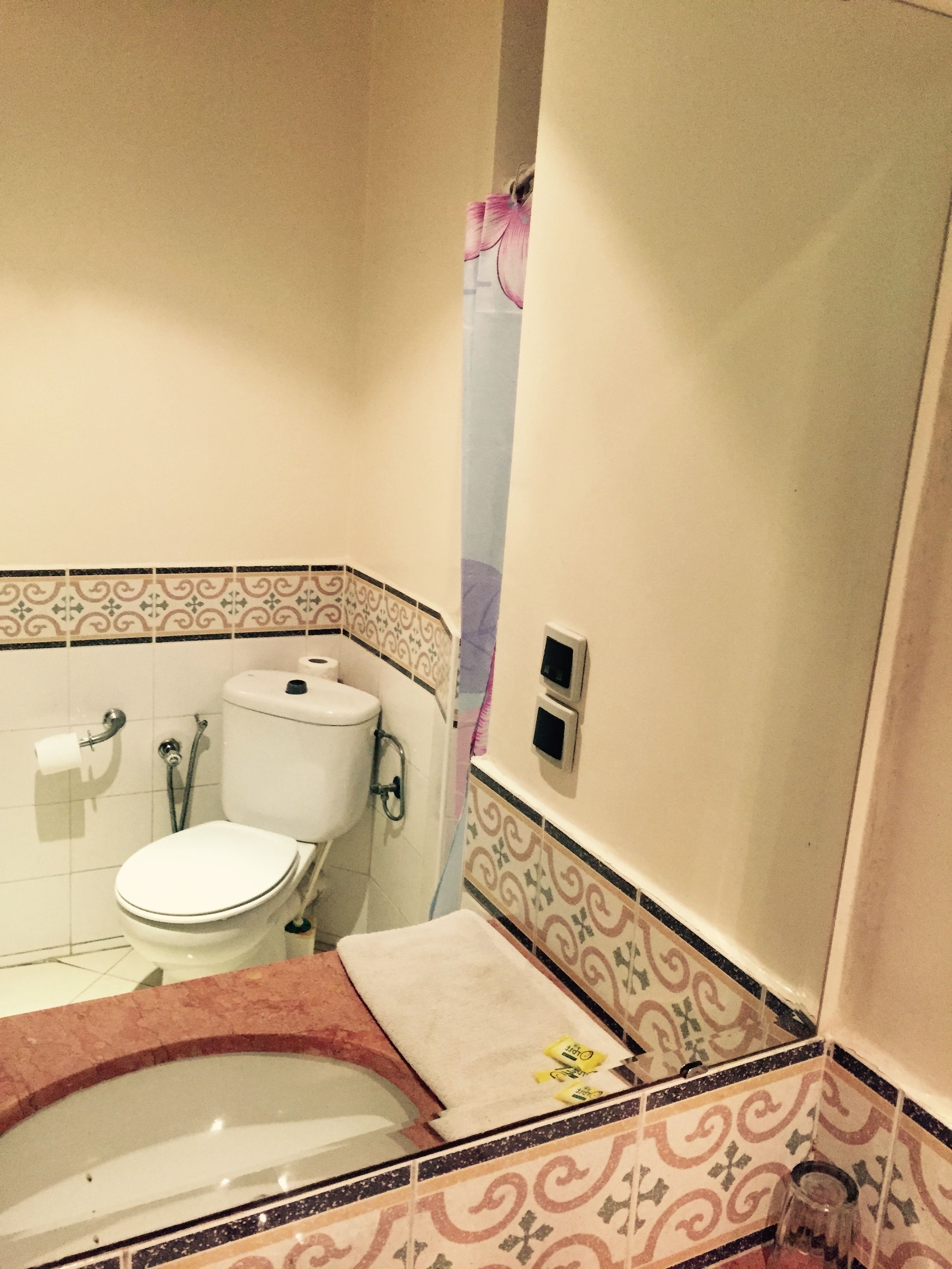 Une salle de bain équipée de toilettes, d’un bidet et d’une baignoire.