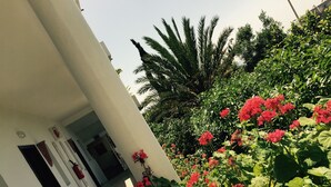 A corridor with a white wall, a door, and a potted plant with red flowers. - Flathotel (Agadir)