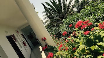 Jardín