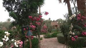 Photo non classée, 4 sur 64, bouton